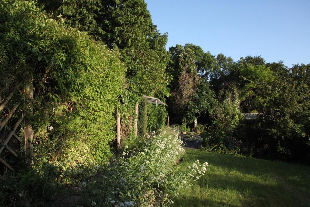 Spacious Home In Bath, Nature And City! Екстер'єр фото